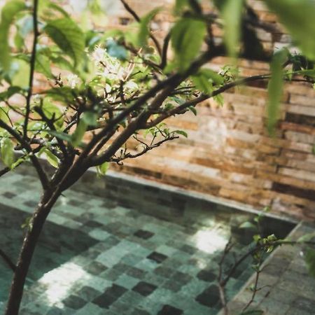 Tropical House - Villa Com Piscina Perto Do Mar Жижока-ді-Жерікуакуара Екстер'єр фото